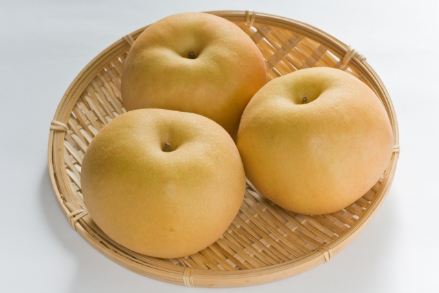 旬到来!山之上の極上梨